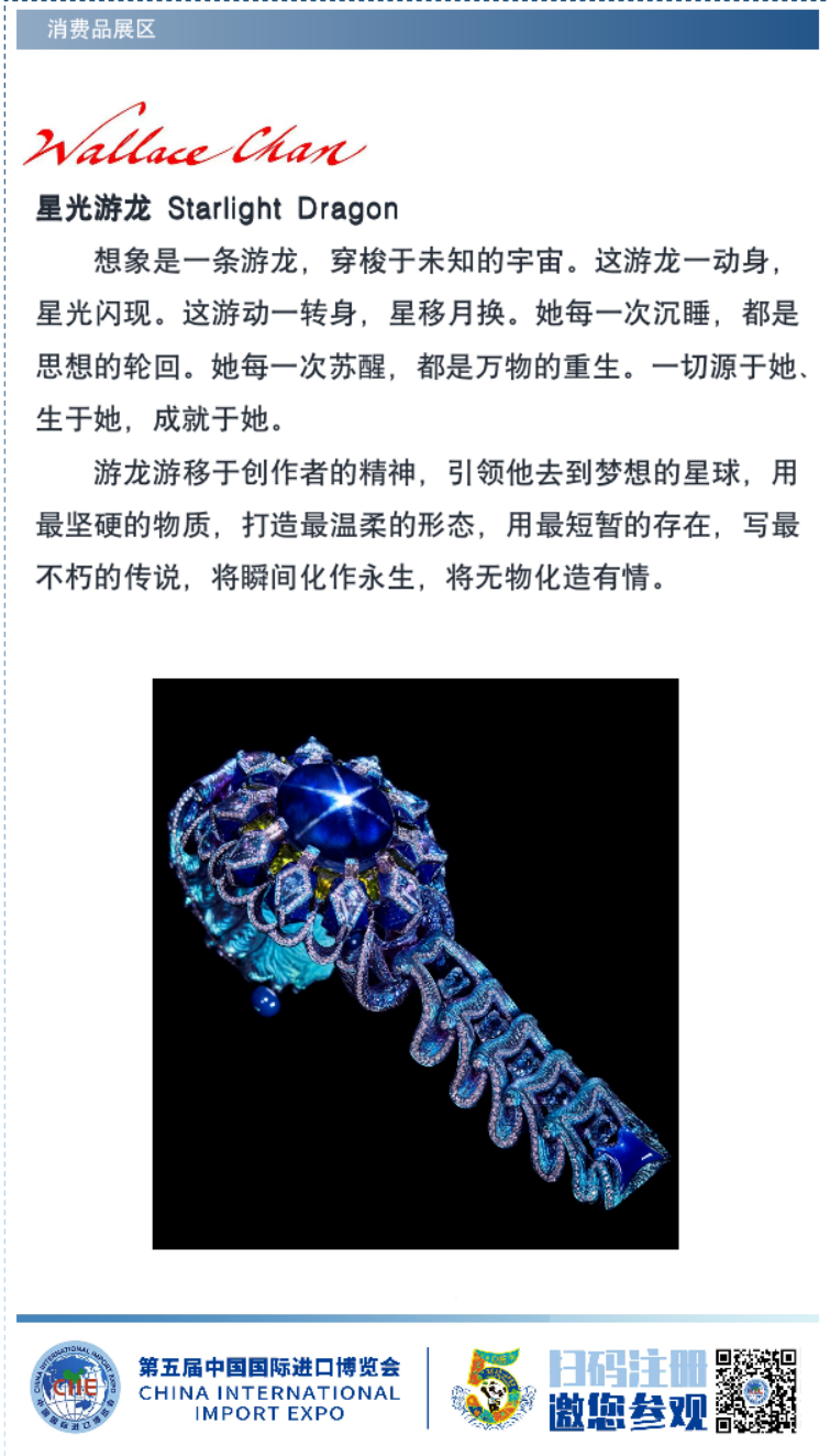 中国数字经济与跨境电商专委会