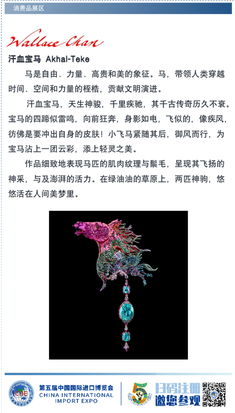 中国数字经济与跨境电商专委会