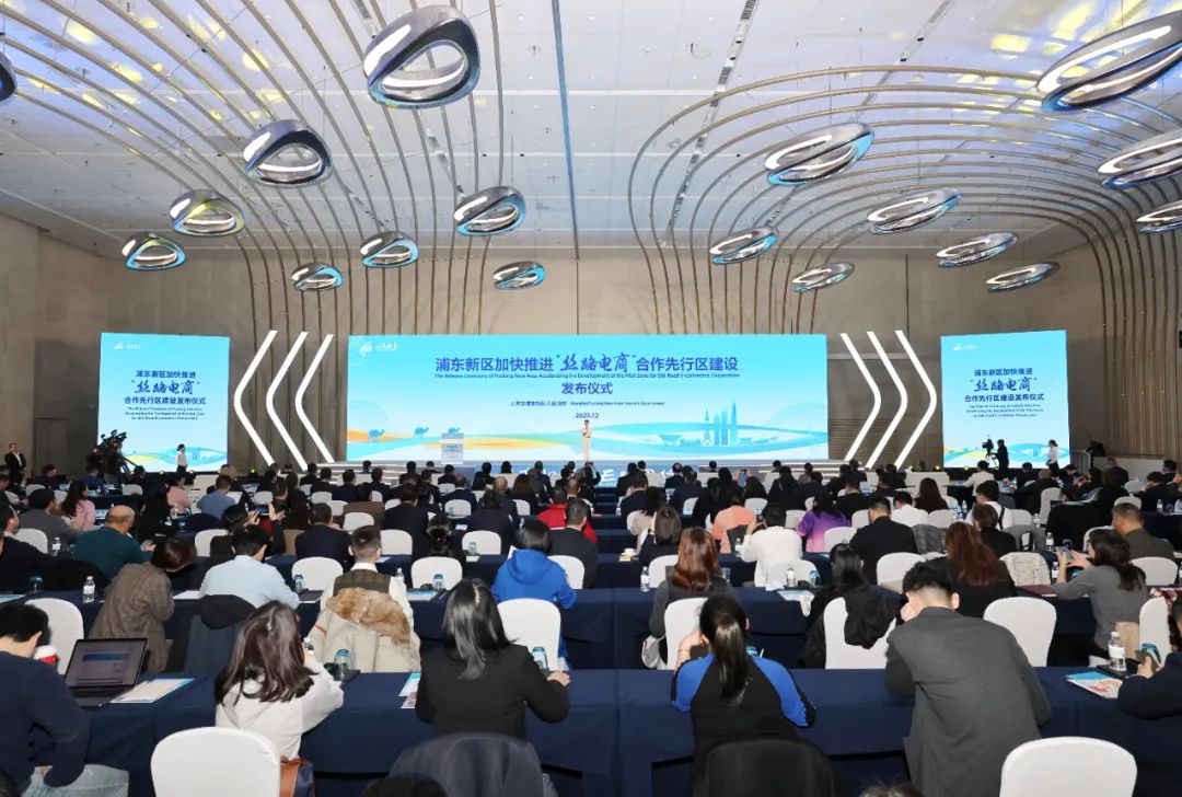 中国数字经济与跨境电商专委会
