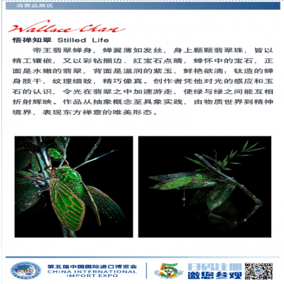 第五届进博会展商展品信息第4期来了！（消费品展区第2期-时尚潮流及珠宝板块）