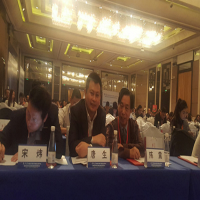 唐生秘书长受邀参加河北跨境电子商务协会2016跨境电商研讨会